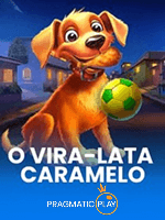 O-Vira-Lata-Caramelo