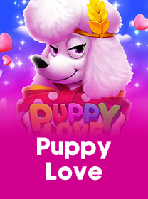 Cara Bermain Puppy Love dengan Benar di Android